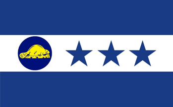 Proposed Pendleton Oregon Flag