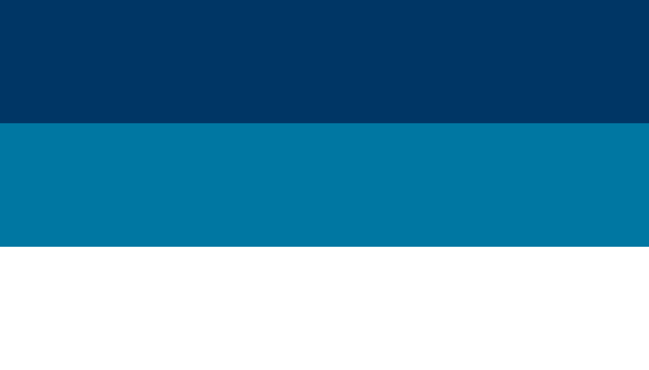 flag of Kaku Seiga