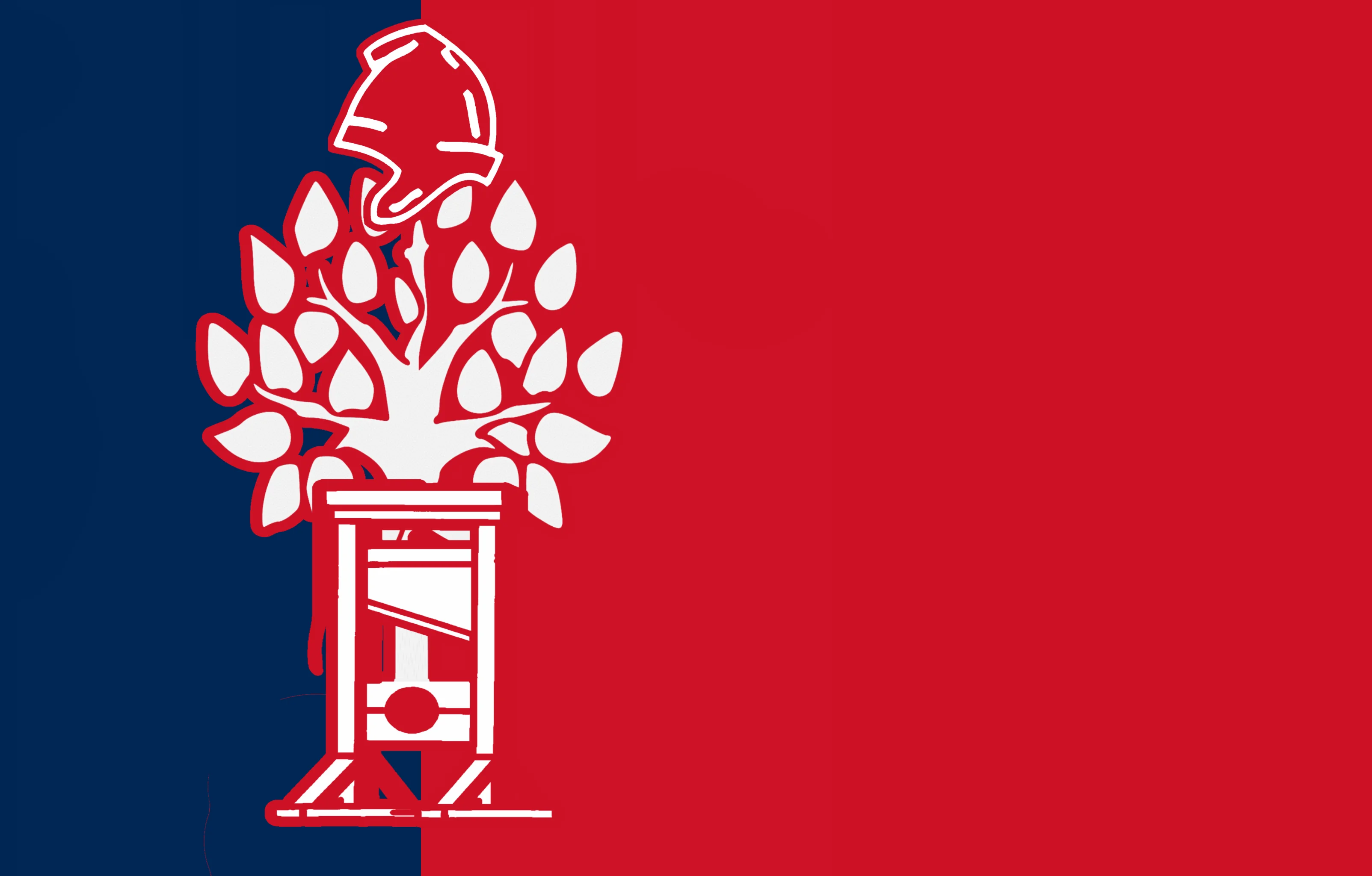  French Revolutionary Republic (TFR)