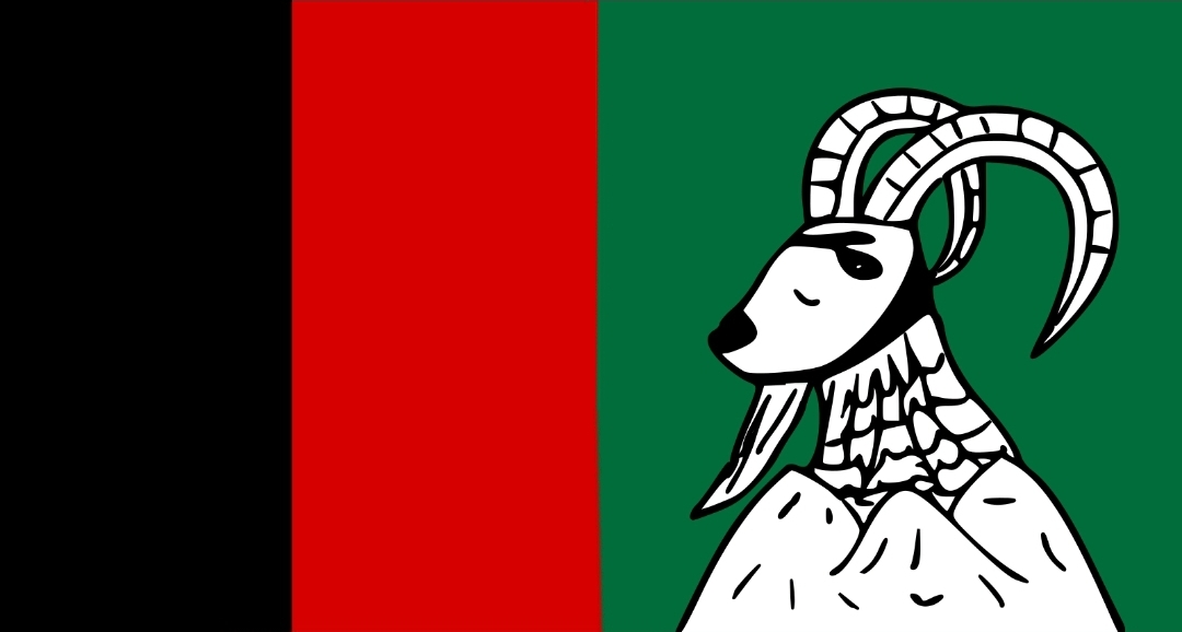 Balawaristan National Front (Naji)