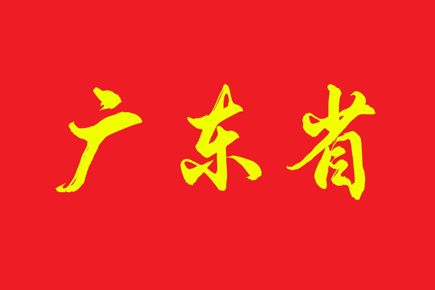 Guangdong in the National Games of China (2025)