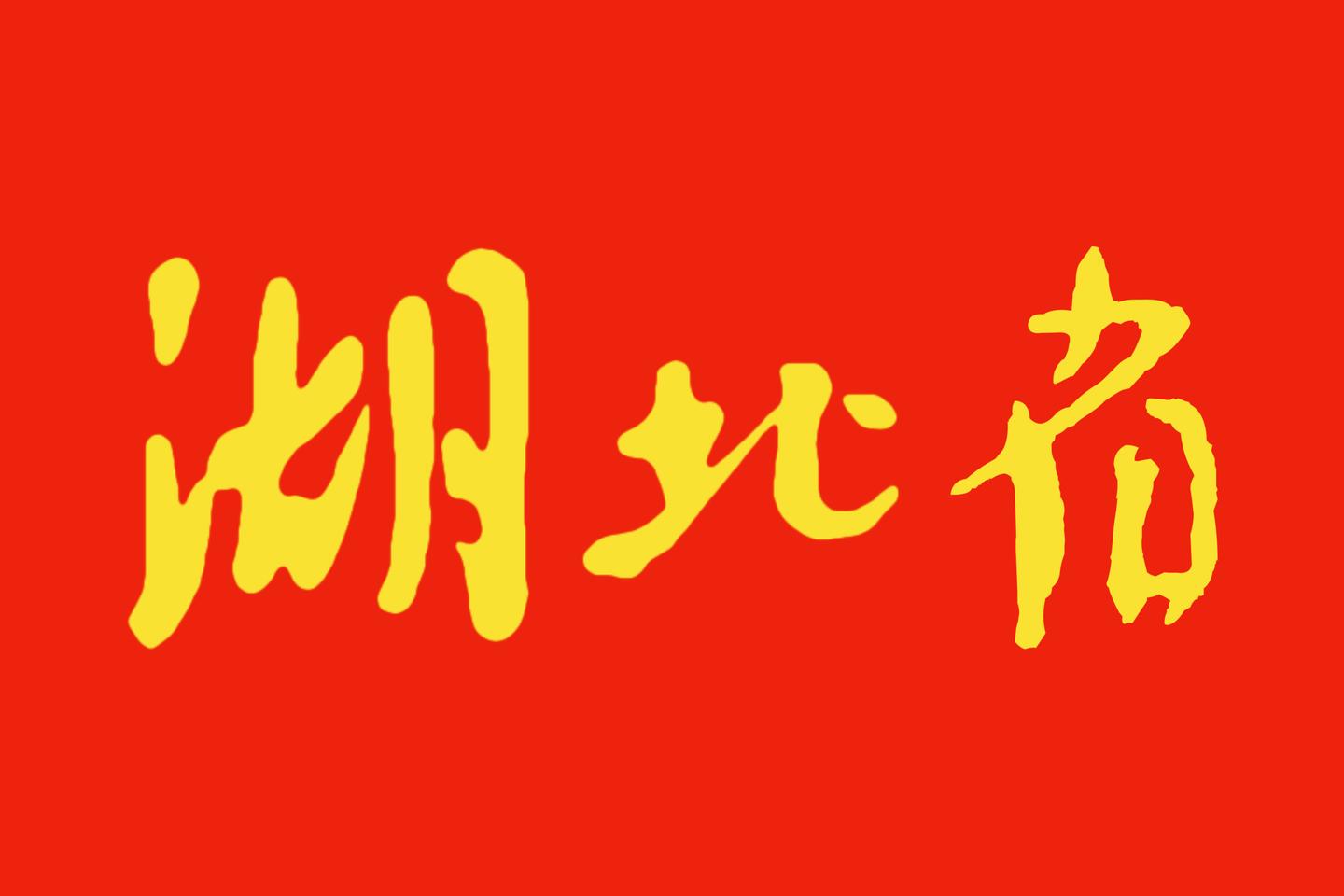 Hubei in the National Games of China (2025)