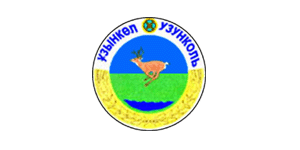 Uzunkol District