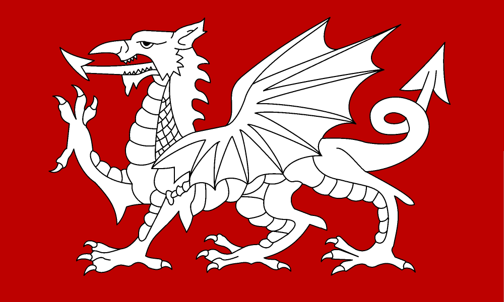 White Dragon Flag of England