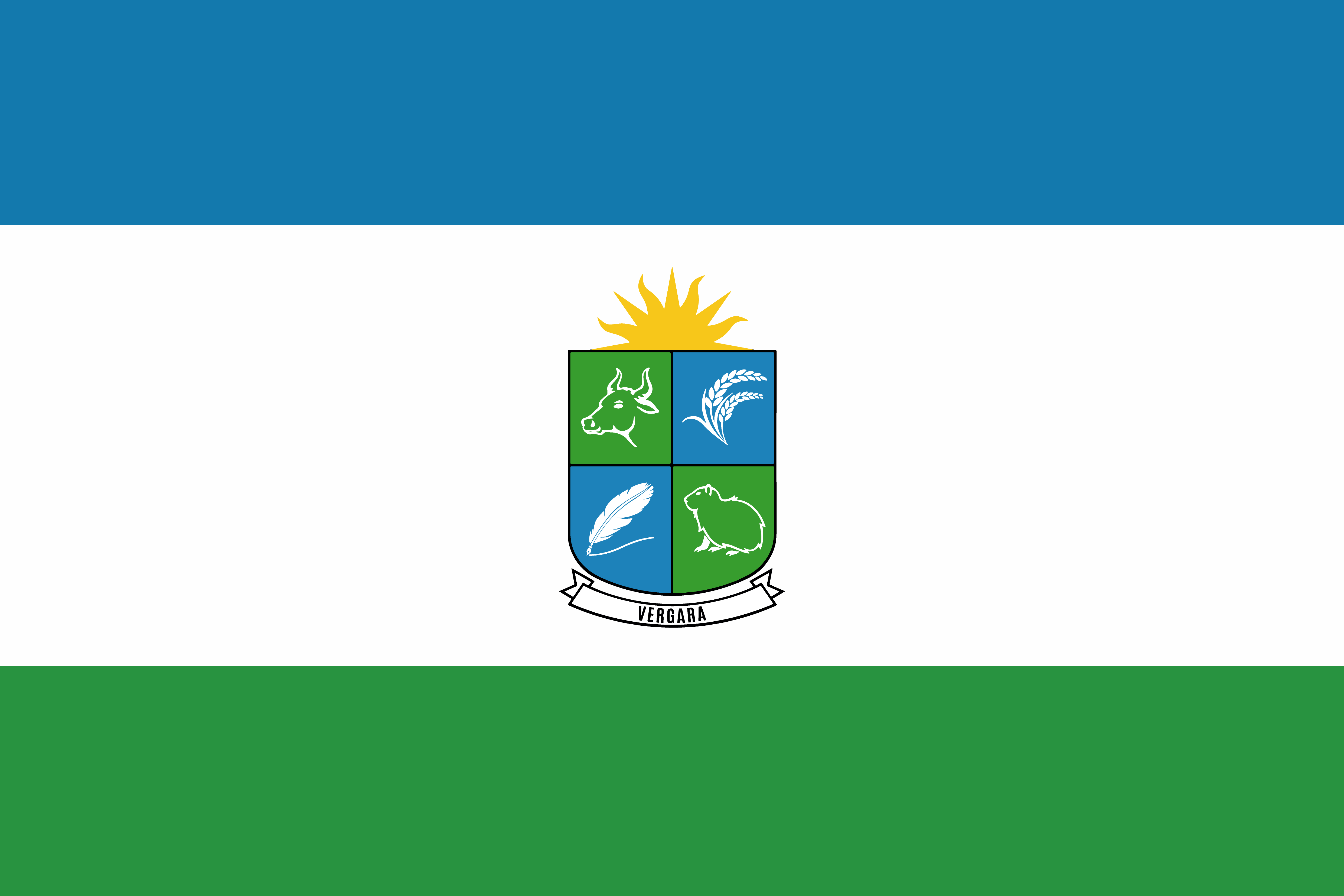 Bandera de Vergara