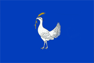 Drochia rajon flag
