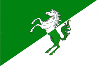 Rajon Fălești Flag