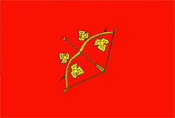 Hincesti rajon flag