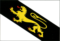 Leova rajon flag