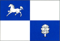 Nisporeni rajon flag
