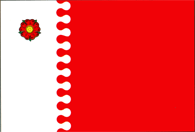 Riscani rajon flag