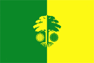 Straseni rajon flag