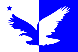 Flag of Taguatinga