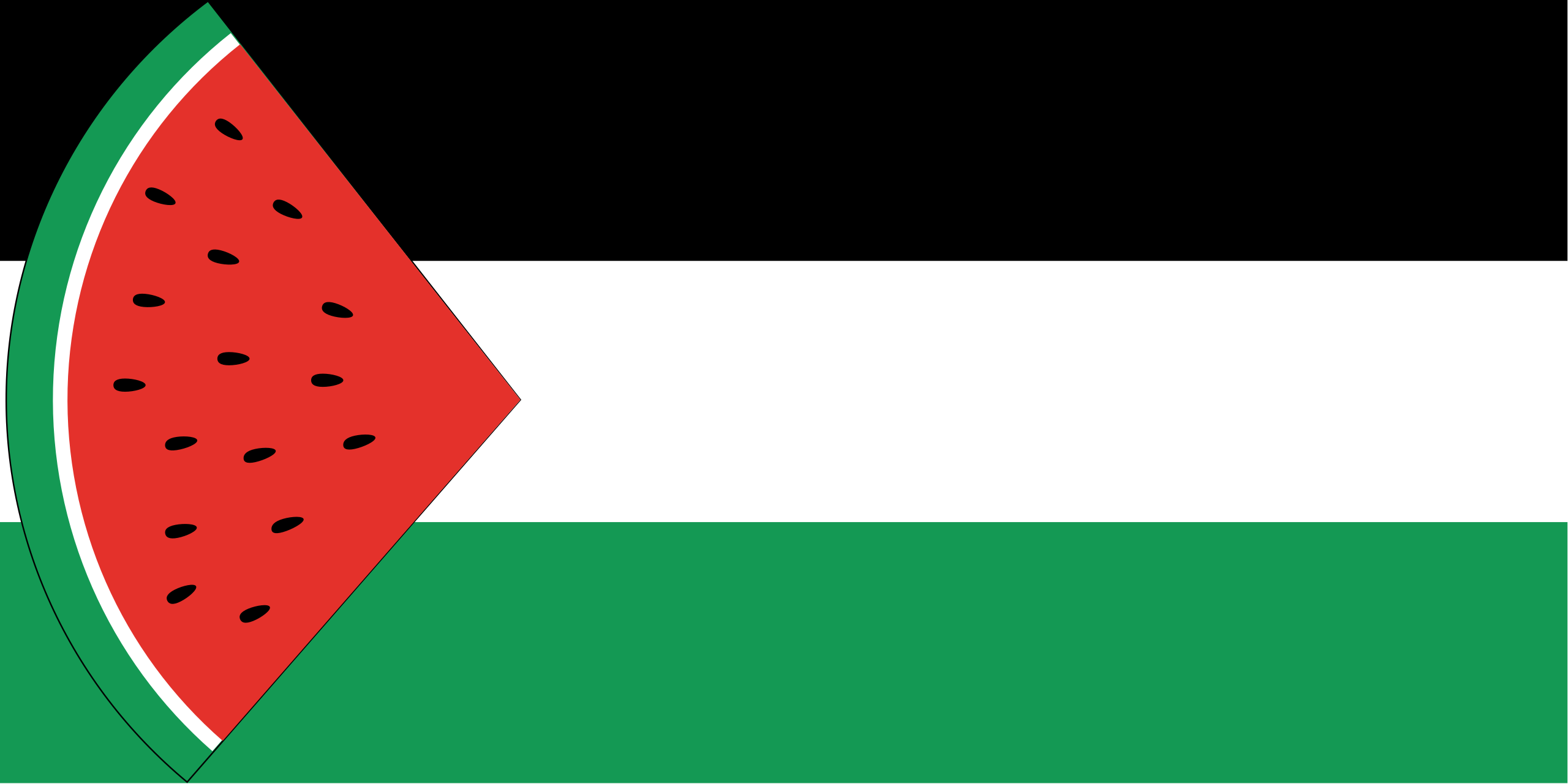 Palestine Watermelon Flag