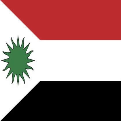 Islamic Syrian Kingdom, fan made flag