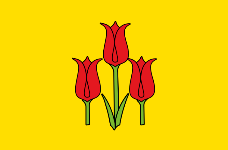 Volokonovsky District