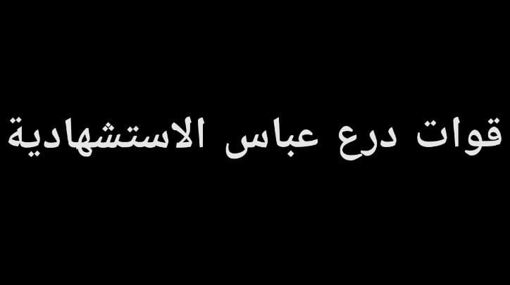 Abbas Shield Martyrdom Forces