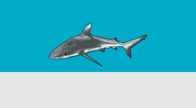 Kingman Reef (Local)