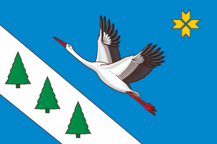 Zubovo-Polyansky District