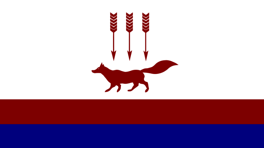 Saransk (2008-2011)