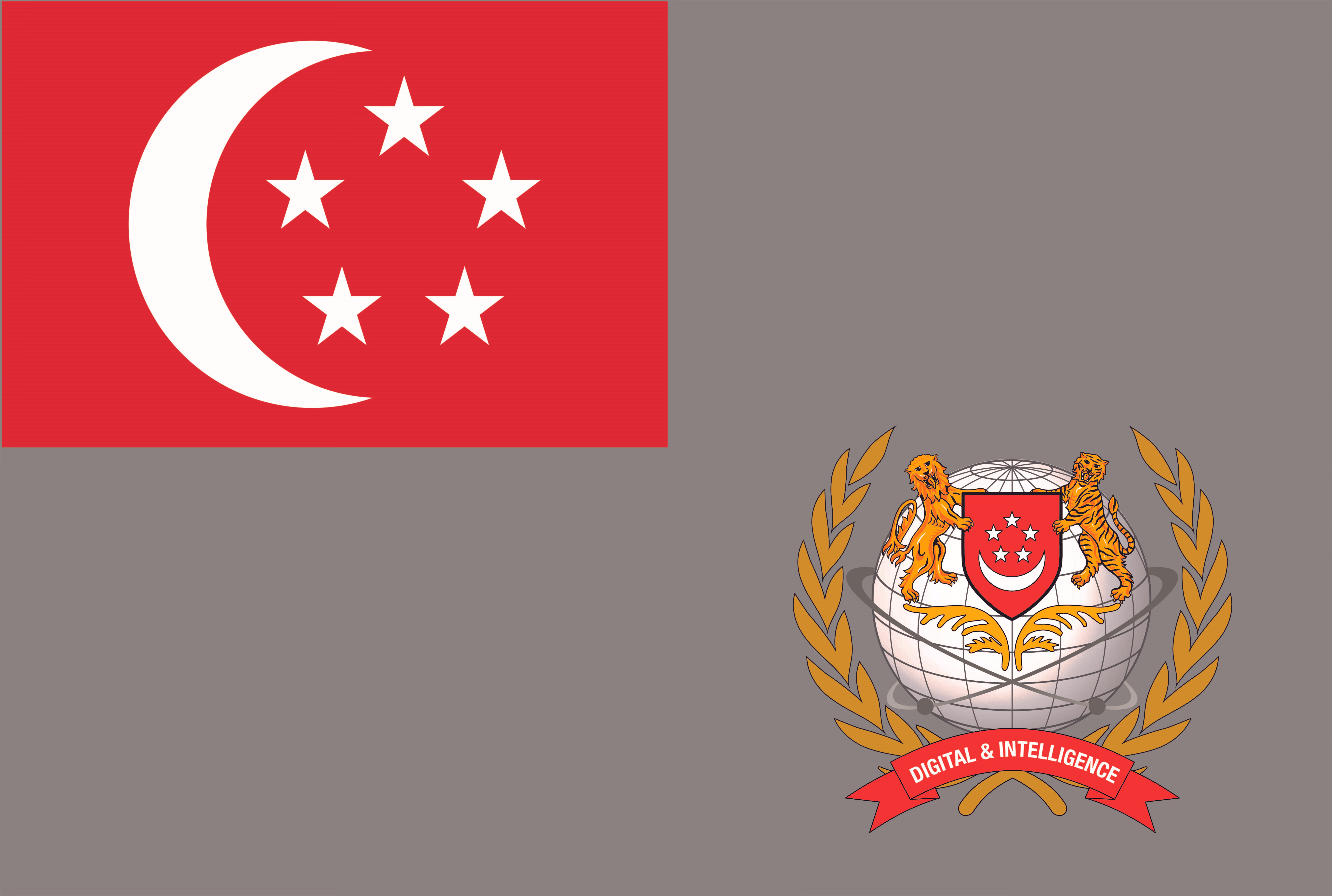 SAF Digital and Intelligence Service