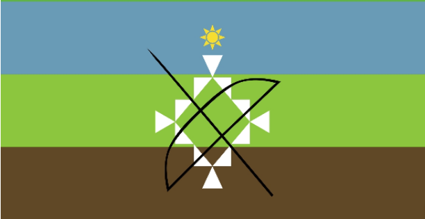 The Guaraní Nation